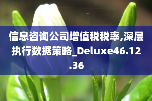 信息咨询公司增值税税率,深层执行数据策略_Deluxe46.12.36