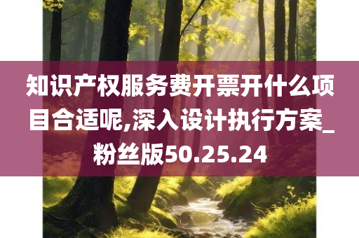 知识产权服务费开票开什么项目合适呢,深入设计执行方案_粉丝版50.25.24