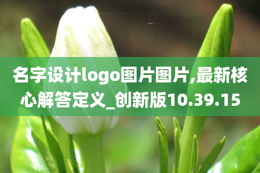 名字设计logo图片图片,最新核心解答定义_创新版10.39.15