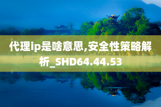 代理ip是啥意思,安全性策略解析_SHD64.44.53