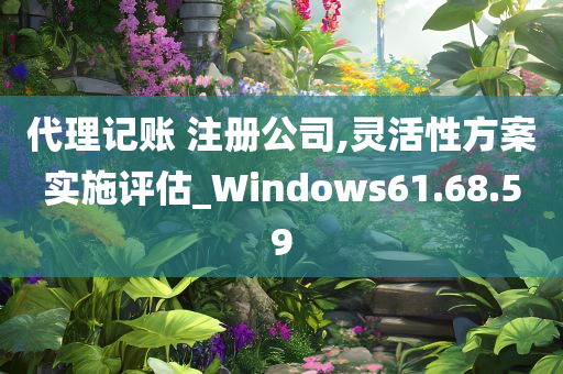 代理记账 注册公司,灵活性方案实施评估_Windows61.68.59