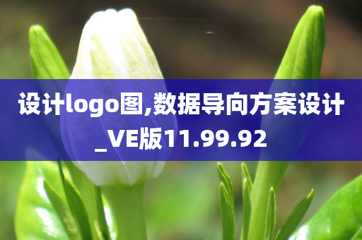 设计logo图,数据导向方案设计_VE版11.99.92