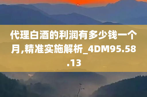 代理白酒的利润有多少钱一个月,精准实施解析_4DM95.58.13