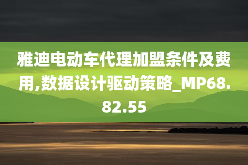 雅迪电动车代理加盟条件及费用,数据设计驱动策略_MP68.82.55