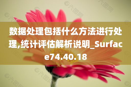 数据处理包括什么方法进行处理,统计评估解析说明_Surface74.40.18