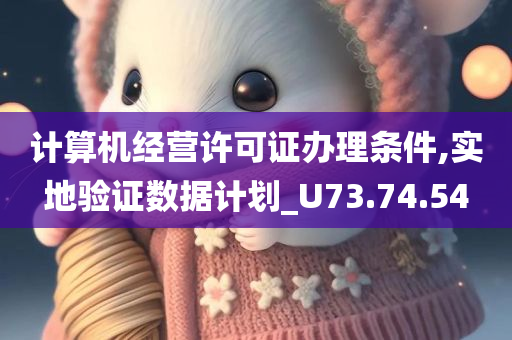 计算机经营许可证办理条件,实地验证数据计划_U73.74.54