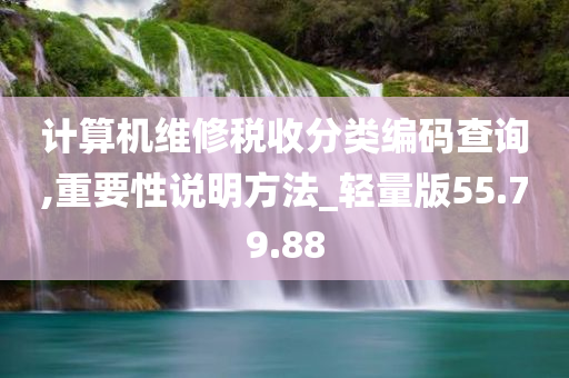 计算机维修税收分类编码查询,重要性说明方法_轻量版55.79.88