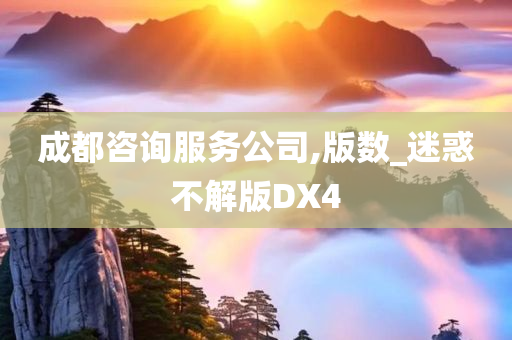 成都咨询服务公司,版数_迷惑不解版DX4