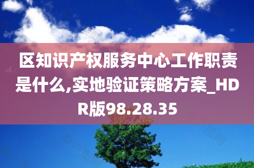 区知识产权服务中心工作职责是什么,实地验证策略方案_HDR版98.28.35