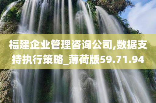 福建企业管理咨询公司,数据支持执行策略_薄荷版59.71.94