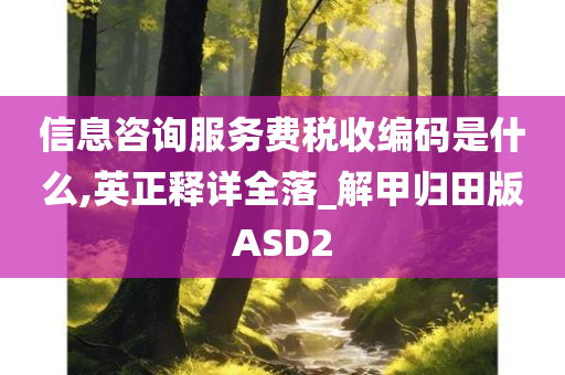 信息咨询服务费税收编码是什么,英正释详全落_解甲归田版ASD2