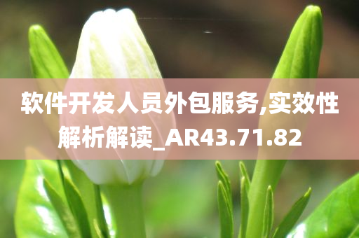 软件开发人员外包服务,实效性解析解读_AR43.71.82