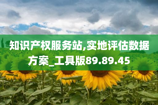 知识产权服务站,实地评估数据方案_工具版89.89.45