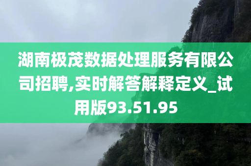 湖南极茂数据处理服务有限公司招聘,实时解答解释定义_试用版93.51.95