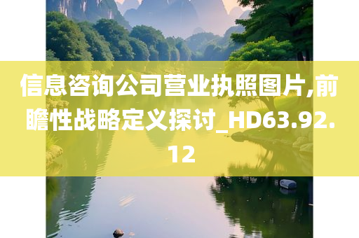 信息咨询公司营业执照图片,前瞻性战略定义探讨_HD63.92.12