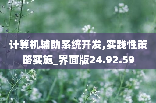 计算机辅助系统开发,实践性策略实施_界面版24.92.59