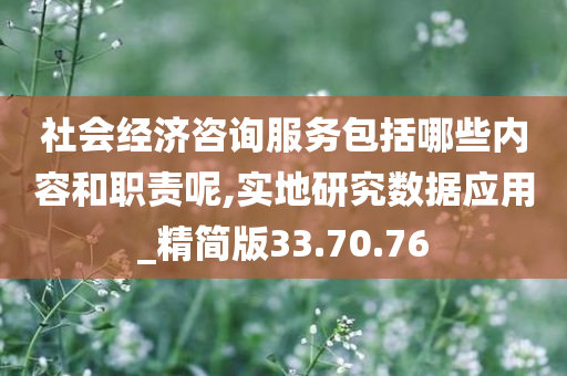 社会经济咨询服务包括哪些内容和职责呢,实地研究数据应用_精简版33.70.76