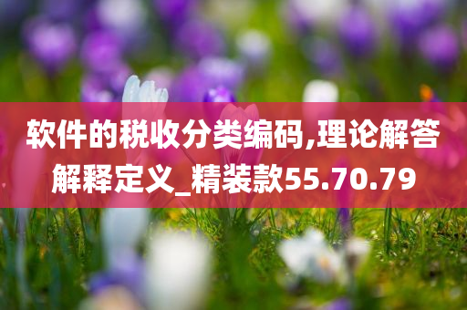 软件的税收分类编码,理论解答解释定义_精装款55.70.79