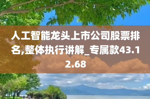 人工智能龙头上市公司股票排名,整体执行讲解_专属款43.12.68