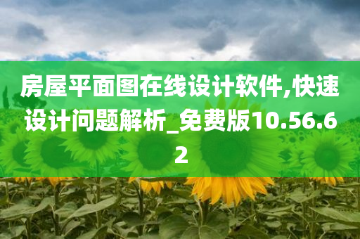 房屋平面图在线设计软件,快速设计问题解析_免费版10.56.62