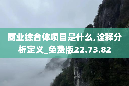 商业综合体项目是什么,诠释分析定义_免费版22.73.82