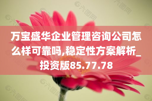 万宝盛华企业管理咨询公司怎么样可靠吗,稳定性方案解析_投资版85.77.78