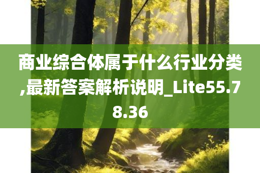 商业综合体属于什么行业分类,最新答案解析说明_Lite55.78.36