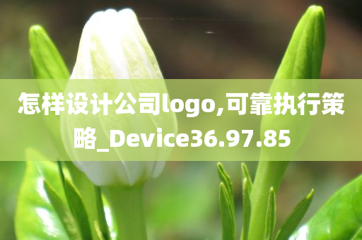 怎样设计公司logo,可靠执行策略_Device36.97.85