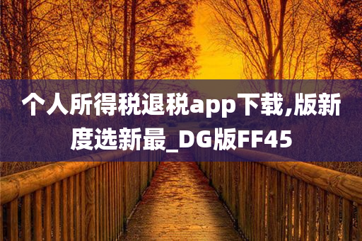 个人所得税退税app下载,版新度选新最_DG版FF45