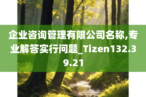 企业咨询管理有限公司名称,专业解答实行问题_Tizen132.39.21