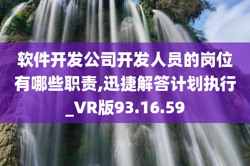 软件开发公司开发人员的岗位有哪些职责,迅捷解答计划执行_VR版93.16.59