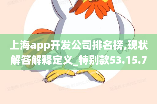 上海app开发公司排名榜,现状解答解释定义_特别款53.15.70