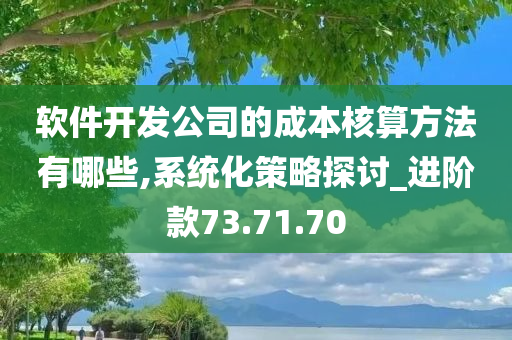 软件开发公司的成本核算方法有哪些,系统化策略探讨_进阶款73.71.70