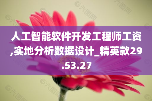 人工智能软件开发工程师工资,实地分析数据设计_精英款29.53.27