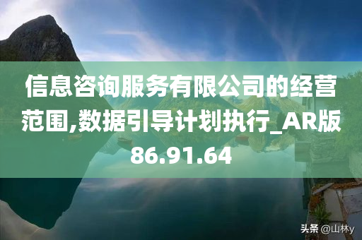 信息咨询服务有限公司的经营范围,数据引导计划执行_AR版86.91.64