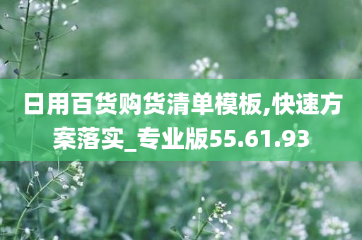 日用百货购货清单模板,快速方案落实_专业版55.61.93