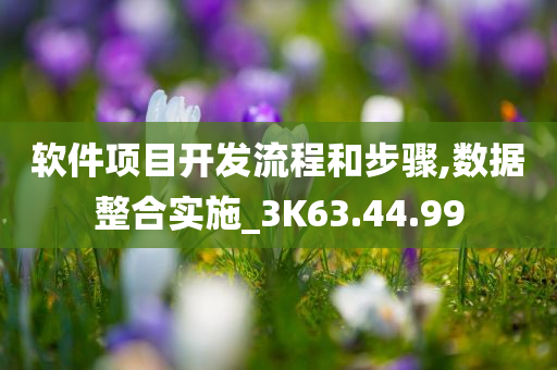 软件项目开发流程和步骤,数据整合实施_3K63.44.99