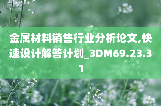 金属材料销售行业分析论文,快速设计解答计划_3DM69.23.31