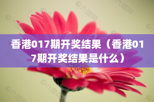 香港017期开奖结果（香港017期开奖结果是什么）