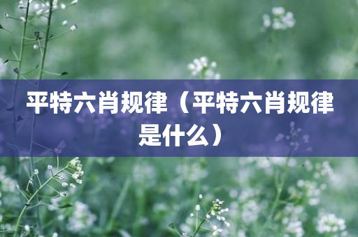 平特六肖规律（平特六肖规律是什么）