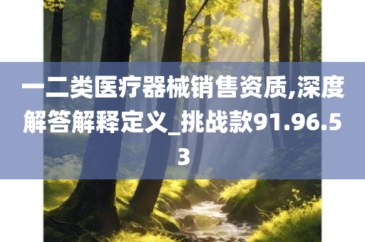 一二类医疗器械销售资质,深度解答解释定义_挑战款91.96.53