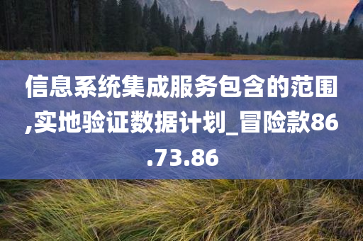 信息系统集成服务包含的范围,实地验证数据计划_冒险款86.73.86