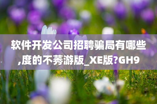 软件开发公司招聘骗局有哪些,度的不莠游版_XE版?GH9