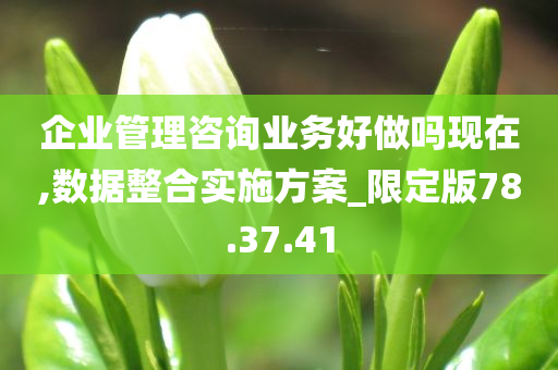 企业管理咨询业务好做吗现在,数据整合实施方案_限定版78.37.41