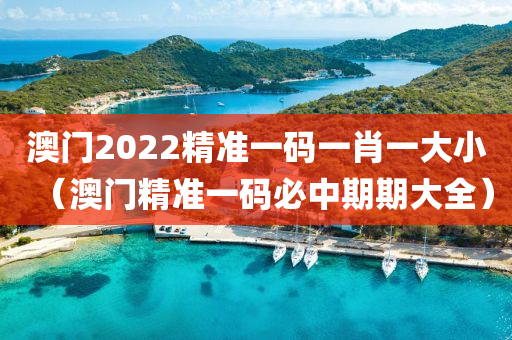 澳门2022精准一码一肖一大小（澳门精准一码必中期期大全）