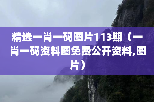 精选一肖一码图片113期（一肖一码资料图免费公开资料,图片）