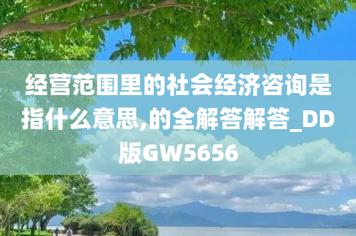 经营范围里的社会经济咨询是指什么意思,的全解答解答_DD版GW5656