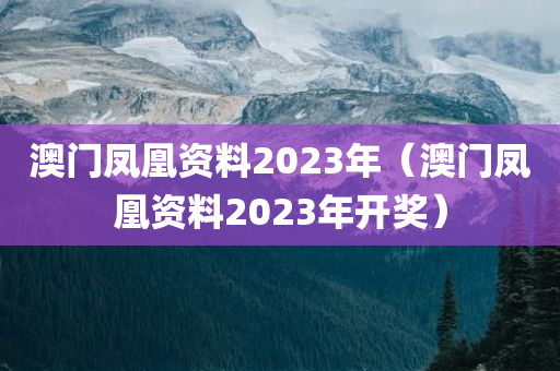 澳门凤凰资料2023年（澳门凤凰资料2023年开奖）