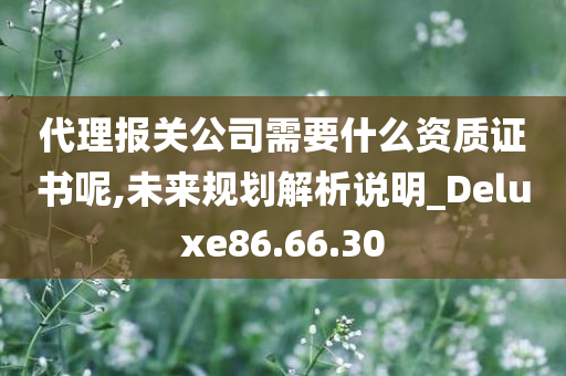 代理报关公司需要什么资质证书呢,未来规划解析说明_Deluxe86.66.30