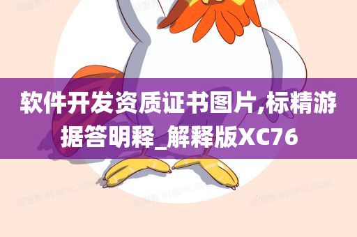 软件开发资质证书图片,标精游据答明释_解释版XC76